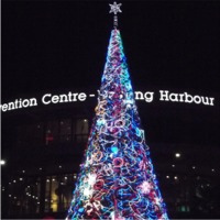 Darling Harbour Christmas Tree