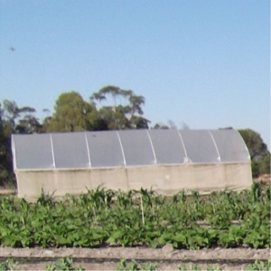 wwoof04_greenhouse